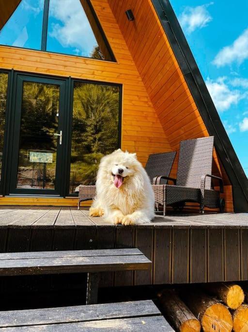 Macko'S Cabin BaileTusnad Exteriör bild